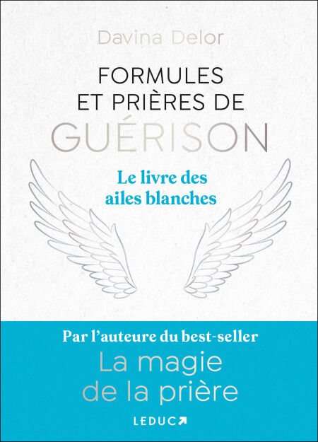 media/ebook/10397060_image_type_product_shot_VIVLIO_1_FR