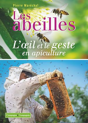 Les abeilles - L'œil et le geste en apiculture