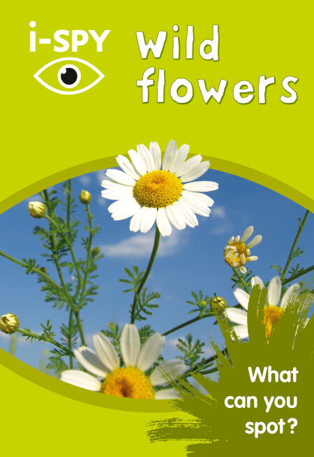 i-SPY Wild Flowers - What can you spot?