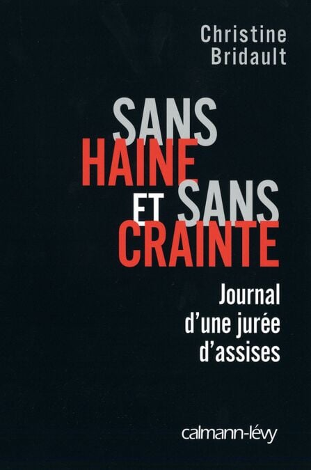 Sans haine et sans crainte - Journal d'une jurée d'assises