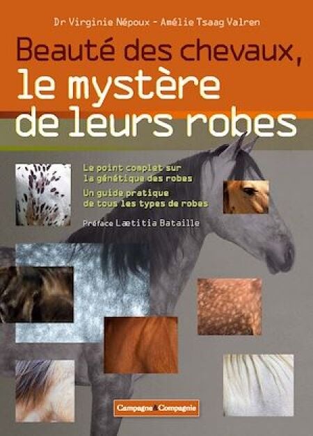 Beauté des chevaux, le mystère de leurs robes