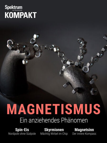 Spektrum Kompakt - Magnetismus - Ein anziehendes Phänomen