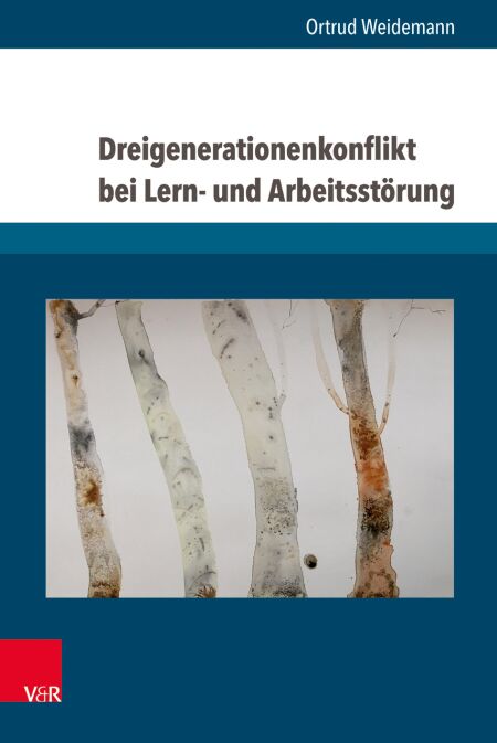 Dreigenerationenkonflikt bei Lern- und Arbeitsstörung - Studien zu Menschen mit Integrationserschwernissen ins Berufsleben bei schweren seelischen Erkrankungen