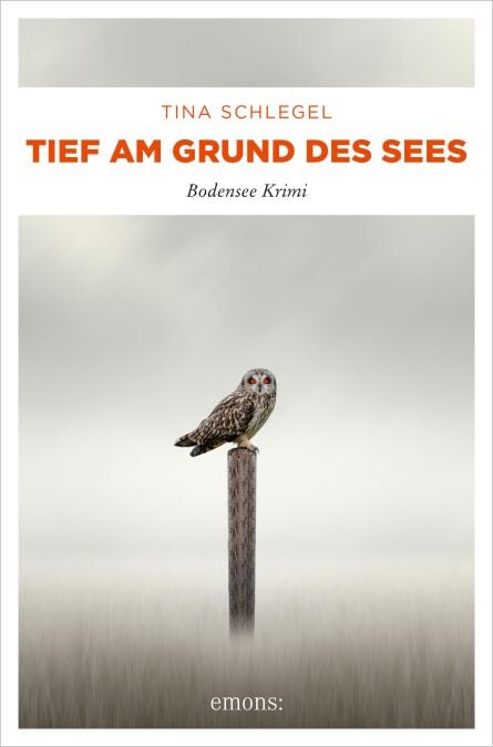 Tief am Grund des Sees - Bodensee Krimi