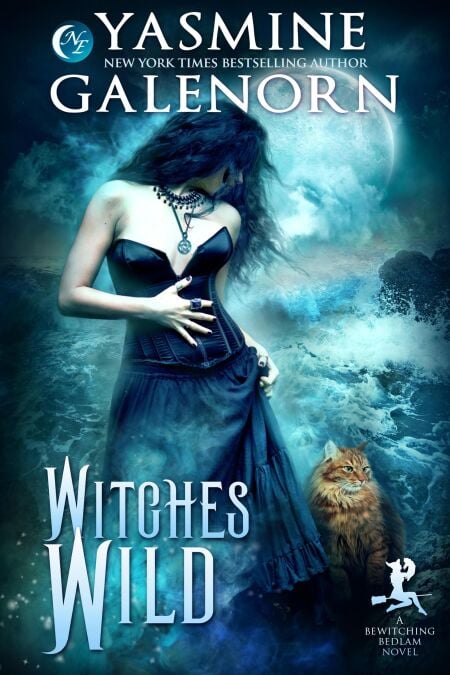 Witches Wild - Bewitching Bedlam, #4