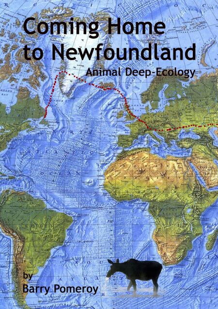 Coming Home to Newfoundland:  Animal Deep Ecology