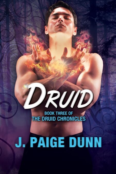Druid: Book Three of the Druid Chronicles - The Druid Chronicles, #3