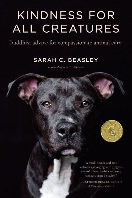 Kindness for All Creatures - Buddhist Advice for Compassionate Animal Care