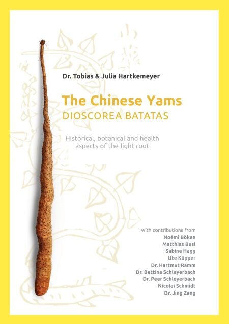 The Chinese Yams (Dioscorea Batata) - Historical, botanical and health aspekts of the light root
