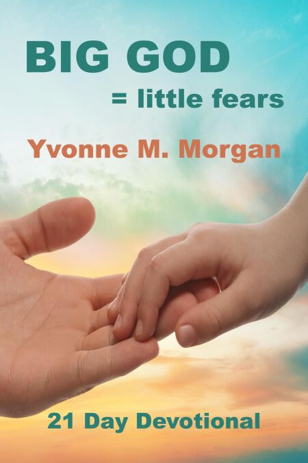 media/ebook/12761292_vcnty1lk_0