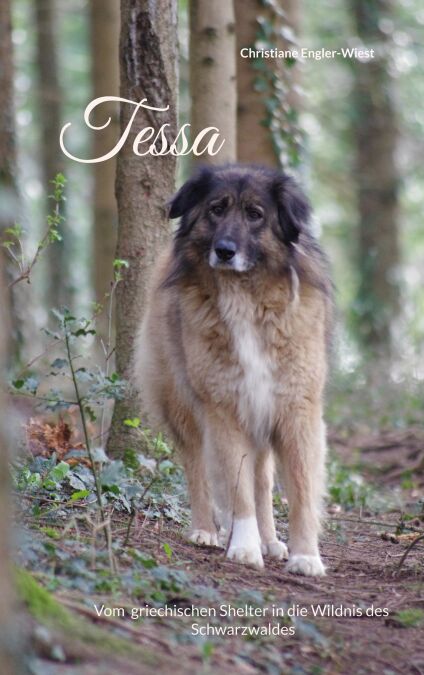 Tessa - Vom griechischen Shelter in die Wildnis des Schwarzwaldes