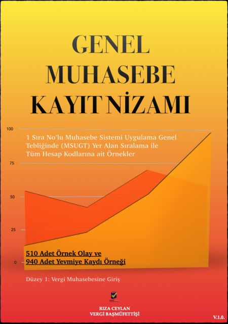 GENEL MUHASEBE KAYIT NİZAMI - Düzey 1, #1