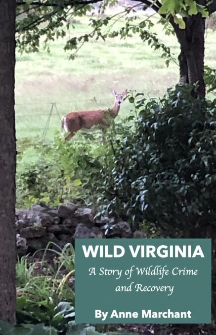 Wild Virginia - A Virginia Wildlife Mystery, #1
