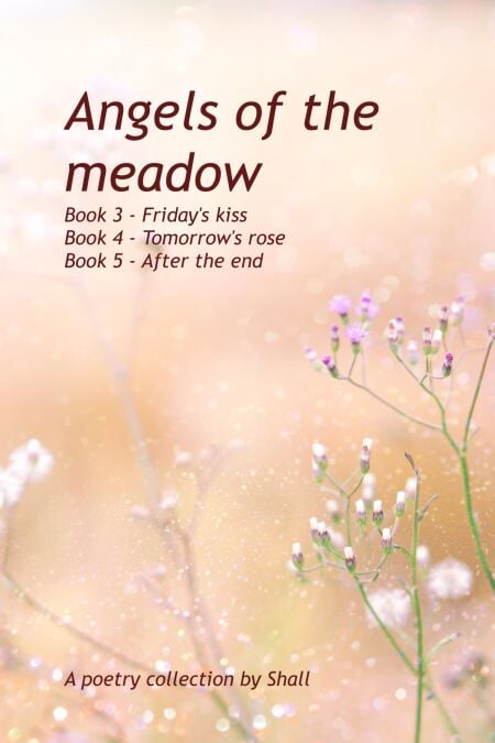 Angels of the Meadow - Books 3-5