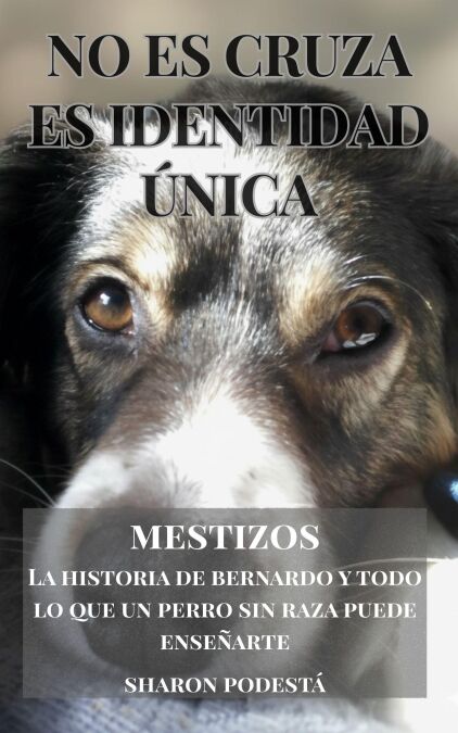MESTIZOS. NO ES CRUZA. ES IDENTIDAD ÚNICA - MESTIZOS