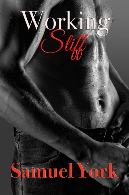 Working Stiff - Working, #1