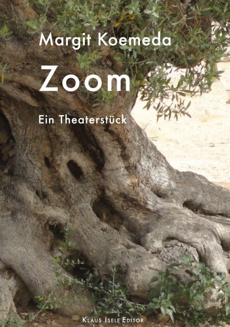Zoom - Ein Theaterstück