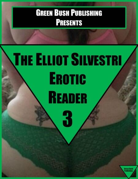 media/ebook/13198324_1lcmn8c7_0
