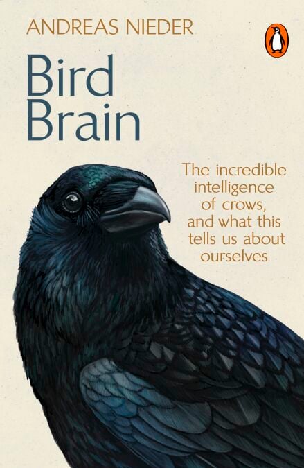 Bird Brain - The Incredible Intelligence of Crows, and What This Tells Us About Ourselves