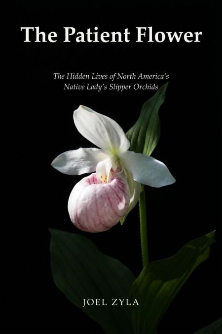 The Patient Flower: The Hidden Lives of North America's Native Lady's Slipper Orchids