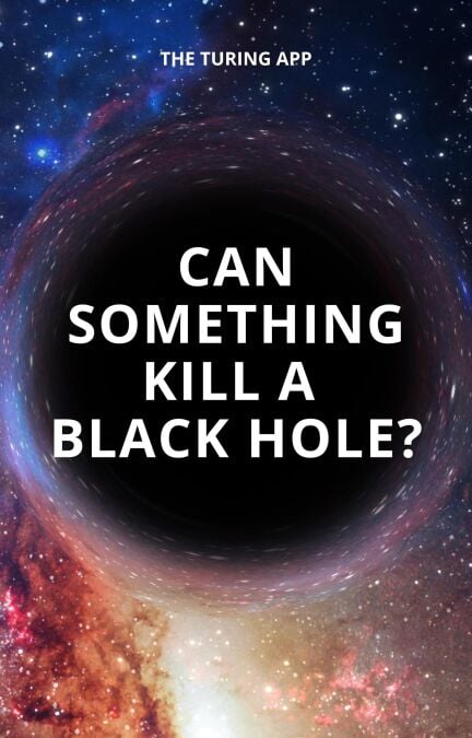 Can Something Kill a Black Hole?