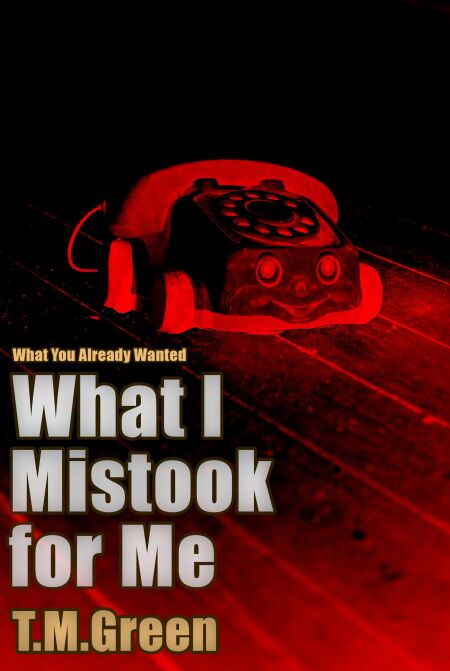 What I Mistook For Me - What You Already Wanted