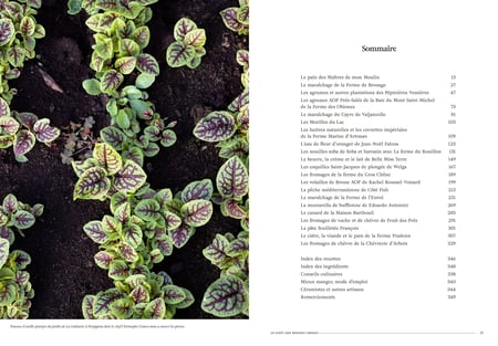 media/ebook/13481196_4zrmgulk_3_99bc1