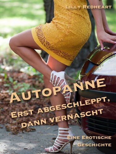 Autopanne - Erst abgeschleppt, dann vernascht - Eine erotische Geschichte