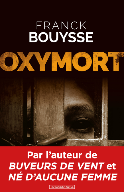 media/ebook/3515244_image_type_product_shot_VIVLIO_1_FR_e4136