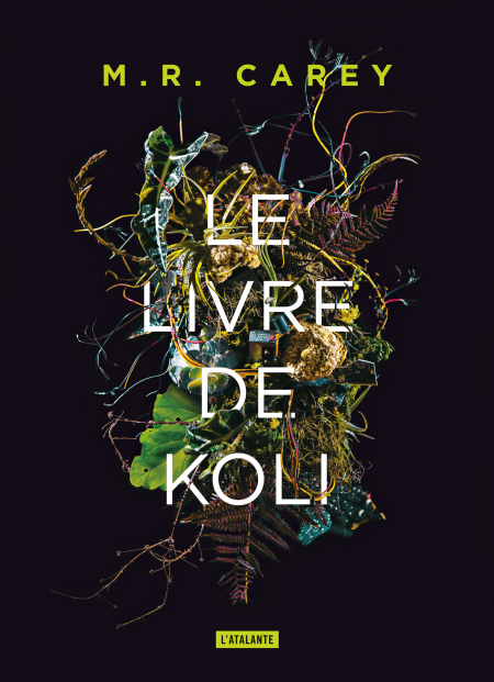 media/ebook/3972807_image_type_product_shot_VIVLIO_1_FR