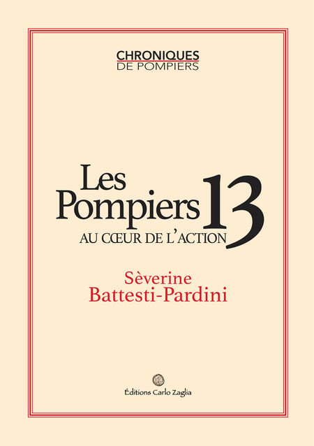 Les Pompiers 13 au cœur de l'action