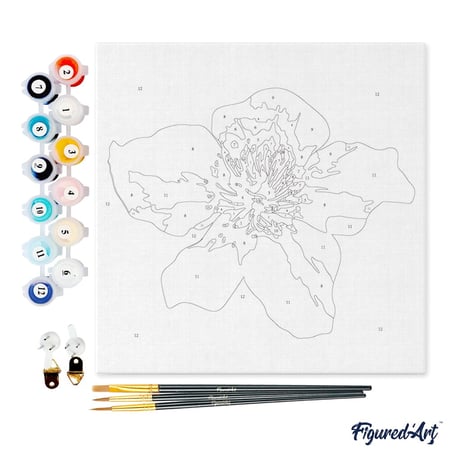 Mini Peinture par Numéro Figured'Art 20x20cm avec cadre Fleur d'Eglantier - Petit Format