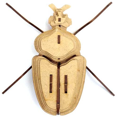 Trophée Insecte - Globulus Giganticus