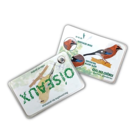 media/mkp/04f85246d7874da1bc985cb77a0e588a