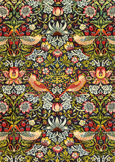 MORRIS - VOLEURS DE FRAISES