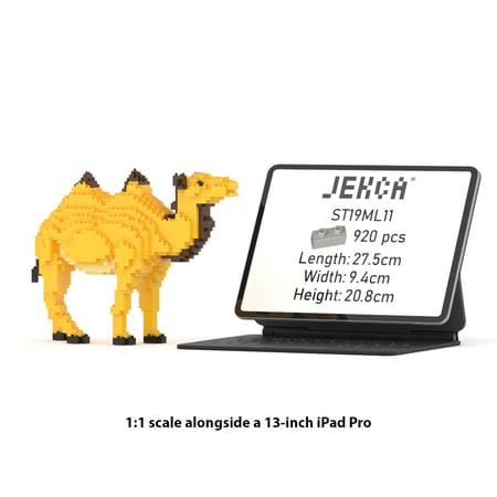 media/mkp/0a9ca9c3b24843fcbaefb70a262f2b5b