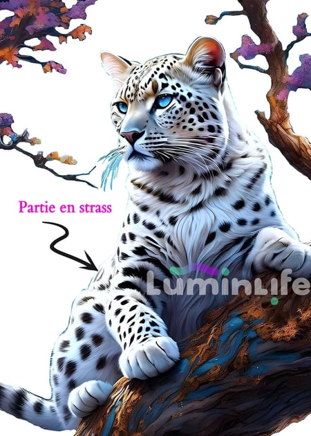 media/mkp/0c7ea9909cf74700a012fbab69e65354
