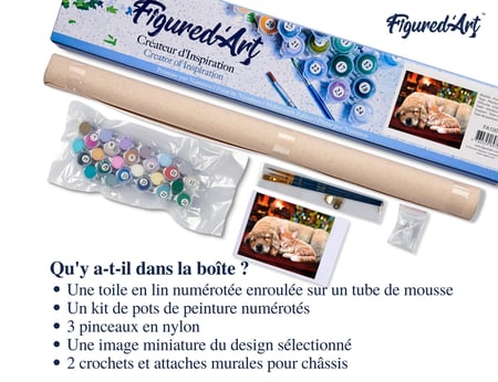 Peinture par Numéro Figured'Art - Sieste entre amis - Kit de Loisir Créatif DIY Numéro d'Art Complet - 40x50cm sans châssis en bois