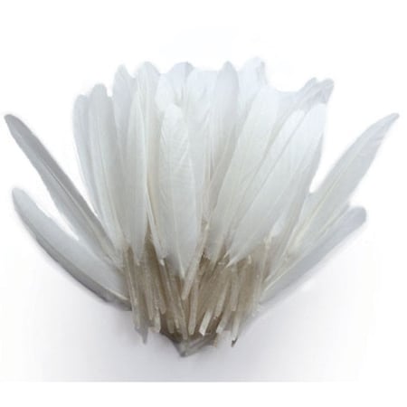Graine Créative - Plumes d'indien pour activités enfant Blanches 15cm