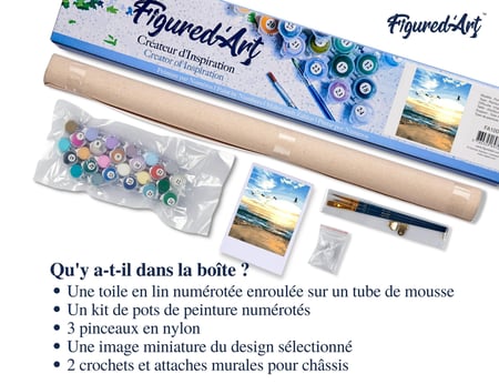 Peinture par Numéro Figured'Art - Oiseaux à la Plage - Kit de Loisir Créatif DIY Numéro d'Art Complet - 40x50cm sans châssis en bois