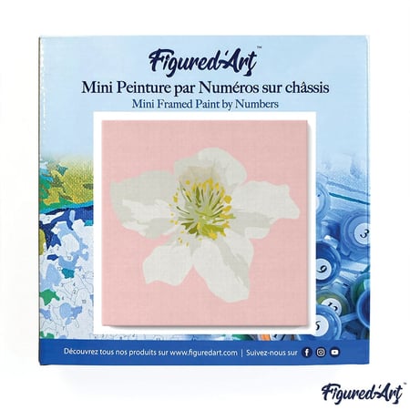Mini Peinture par Numéro Figured'Art 20x20cm avec cadre Fleur d'Eglantier - Petit Format