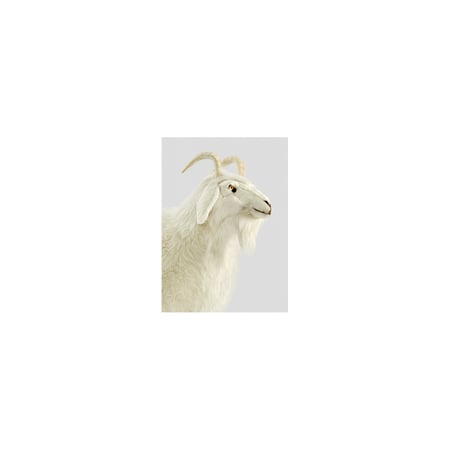 media/mkp/17caaf0e00de4f59948a7a46d91561b9