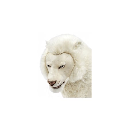 media/mkp/18ffc569cfdb47d3bb446cdbeeae6868