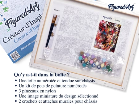 Peinture par Numéro Figured'Art avec Cadre - Visage féminin abstrait - Kit de Loisir Créatif DIY Numéro d'Art - 40x50cm toile tendue sur châssis