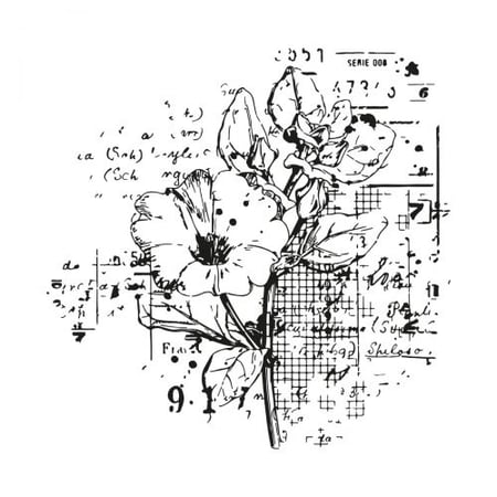 media/mkp/1b55a153228843348fb817bb11128282