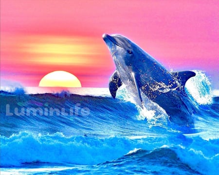 media/mkp/1e4ee6c1d9a84eec9ece09c32e498682