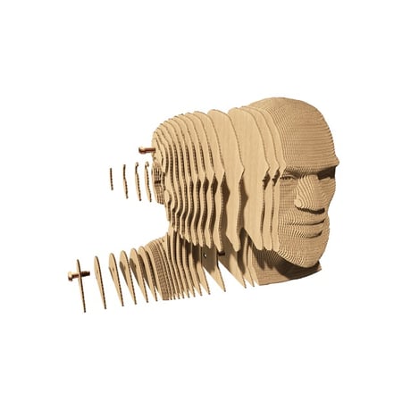 media/mkp/1f22ad1da03d442bbbf594343c26d8bd