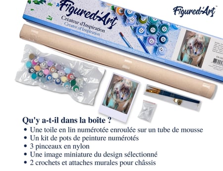 Peinture par Numéro Figured'Art - Loups et Plumes - Kit de Loisir Créatif DIY Numéro d'Art Complet - 40x50cm sans châssis en bois