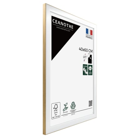 media/mkp/1fef361ec47e42a5a592da650ca2b98b