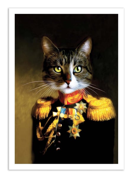 Affiche 50 x 70 cm -  Anonymous - Tein Lucasson